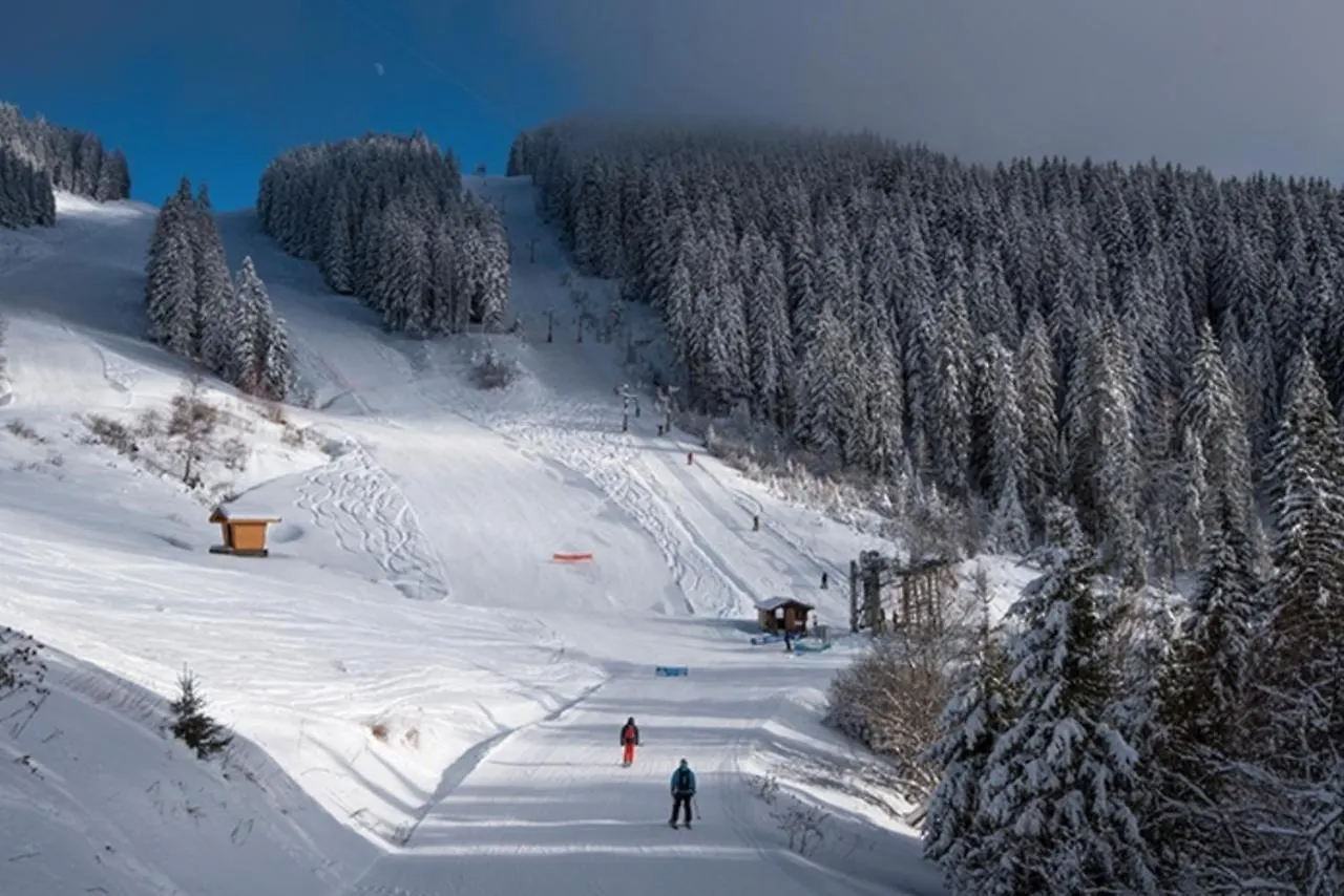 Joli Studio 4 Pers 30M Des Pistes Balcon Plein Sud Au Pieds Des Pistes B27- Draps Non Compris Saint-Jean-d'Aulps 0*,  France
